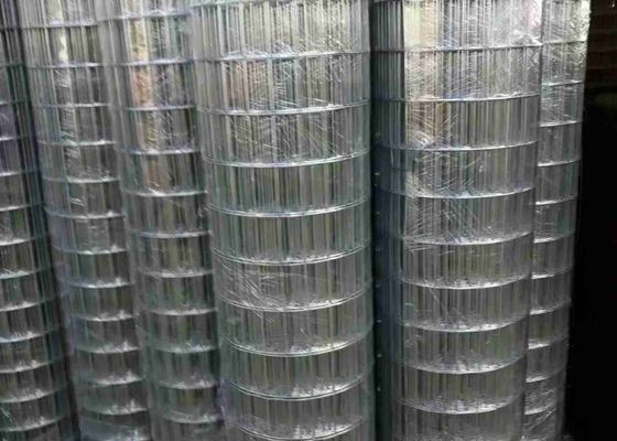Lưới hàn 100 X 50 mạ kẽm điện Màu sắc tươi sáng và bề mặt mịn